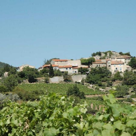 Montgaillard  Cecileヴィラ エクステリア 写真