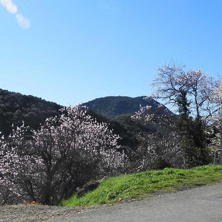 Montgaillard  Cecileヴィラ エクステリア 写真