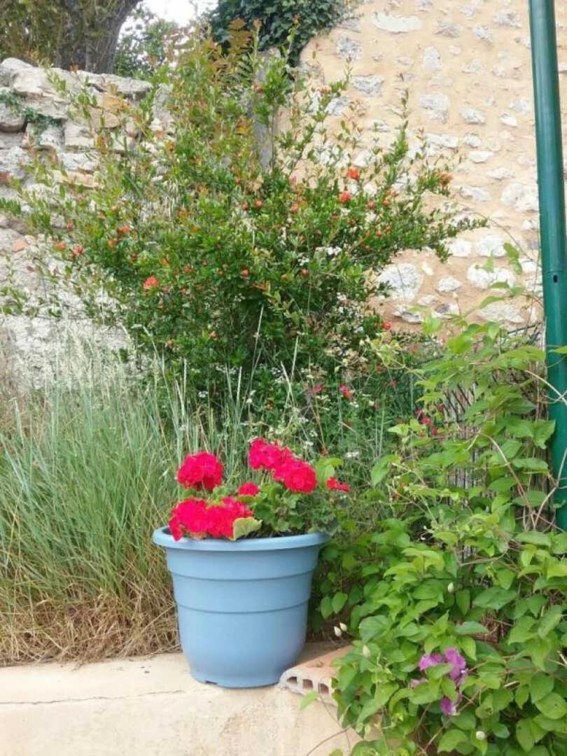 Montgaillard  Cecileヴィラ エクステリア 写真