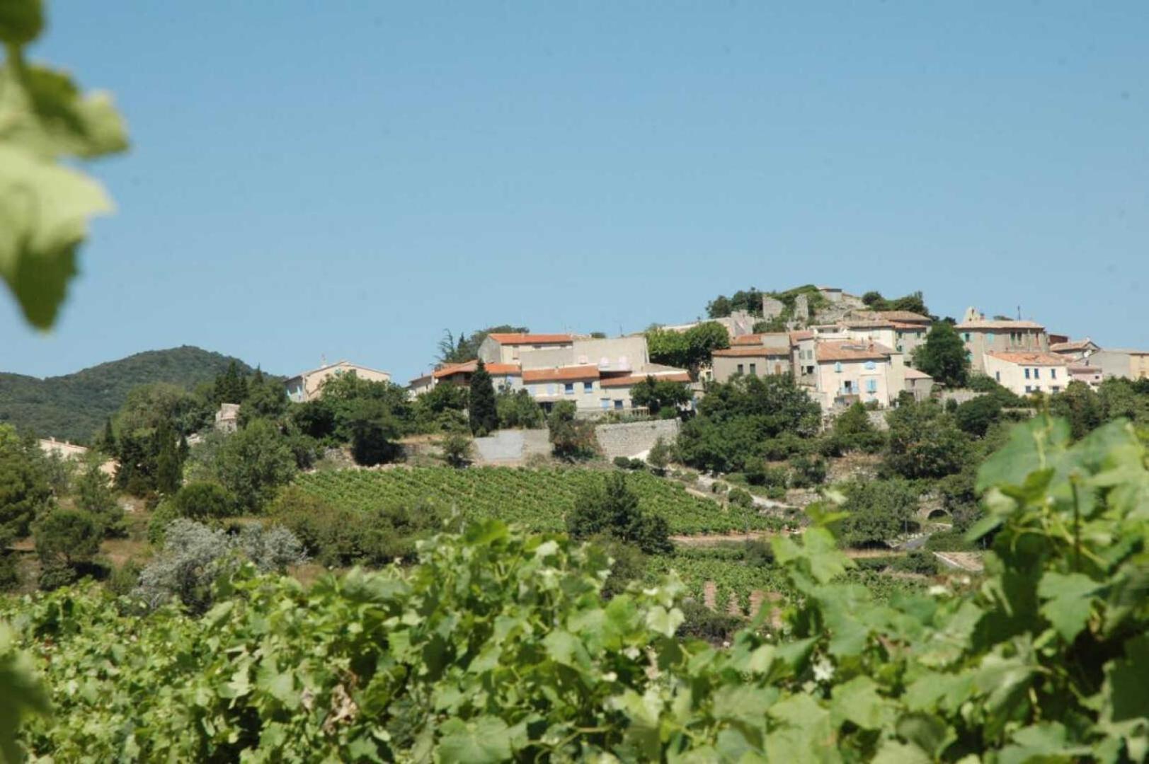 Montgaillard  Cecileヴィラ エクステリア 写真